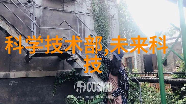 未来触控麦芒手机的无限可能
