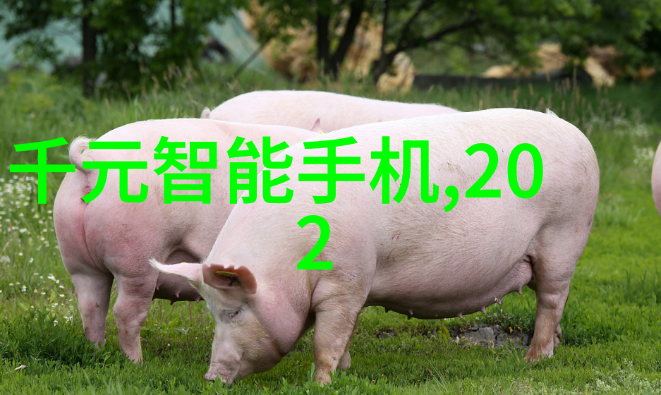 野花日本免费观看大全3-绽放的秘密揭秘野花日本第三季全集