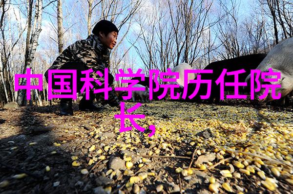 长沙汽车配件批发电话-车市新声长沙汽车配件批发热线