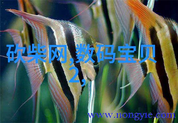 城市水源管网之选探索市政供水系统的关键材料
