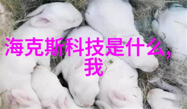 化工输送设备 - 管道网络与泵站系统化工厂内的输送技术要素