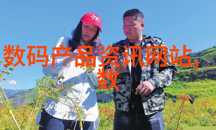 社会服务项目实施前的可行性评估模型