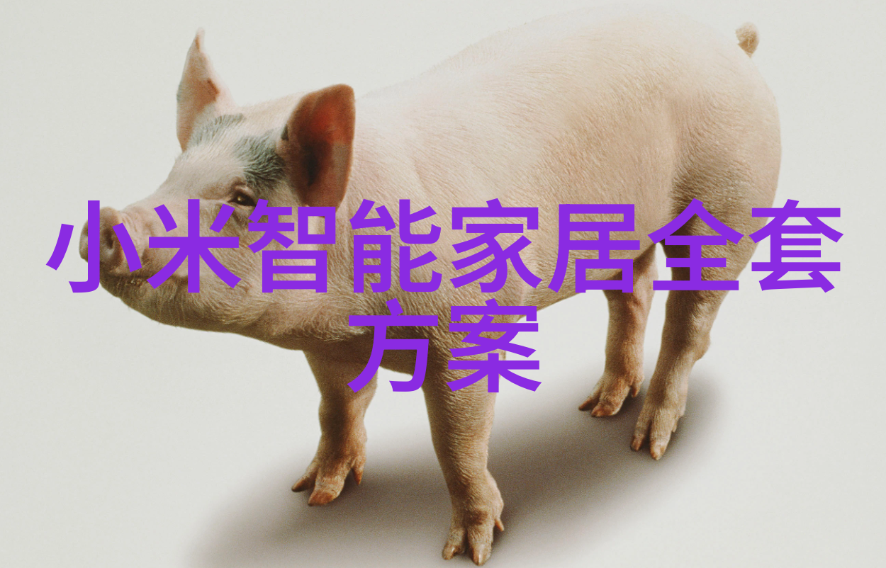 哀家有了家园的忧愁与希望