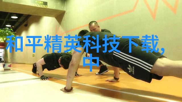 环填料是规整填料我来告诉你如何让家里的装修更完美