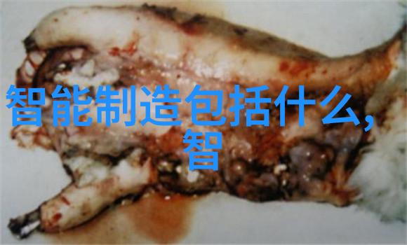 翱翔未来无人机技术专业的广阔天地