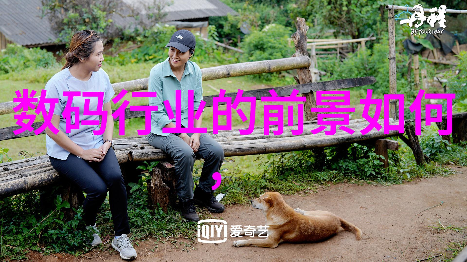 四房播播探索生活的不同角落