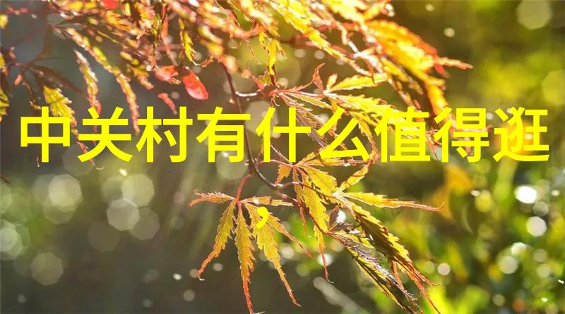 逆向工程中的RTO与RCO差异解析从故障恢复到容错机制的深度对比