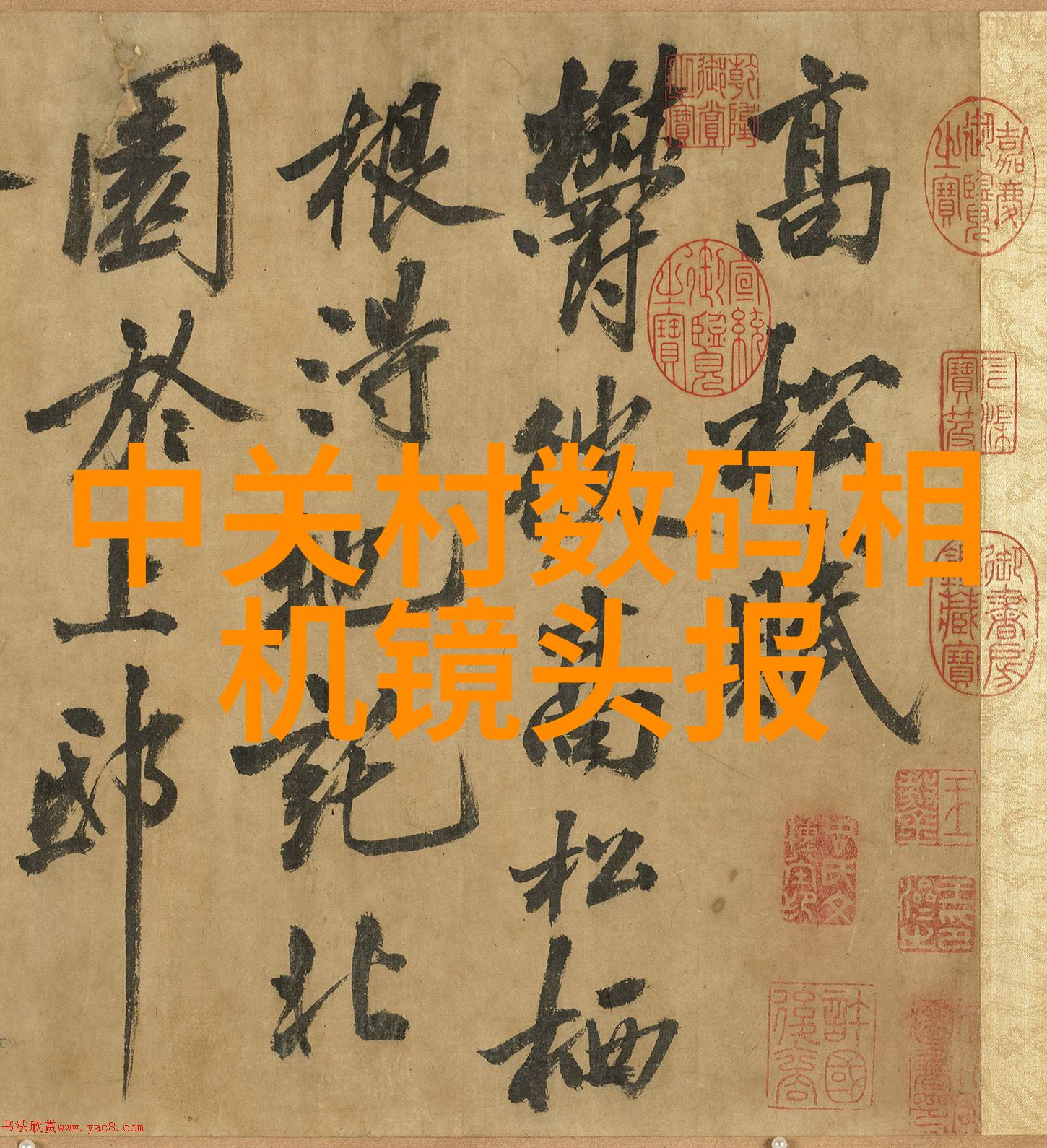 广东财经大学学术成就深耕金融经济学术开创管理创新