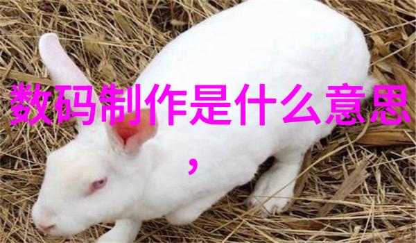不锈钢板厂家直销优惠政策解析
