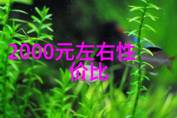 广东职业技术学院我的就业路线图