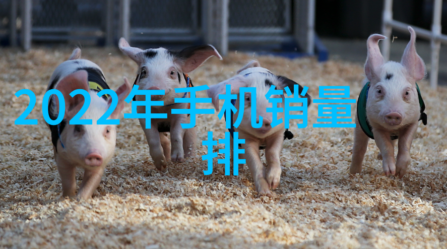 探究多功能水质检测笔的实用性全面解析其效能与应用场景