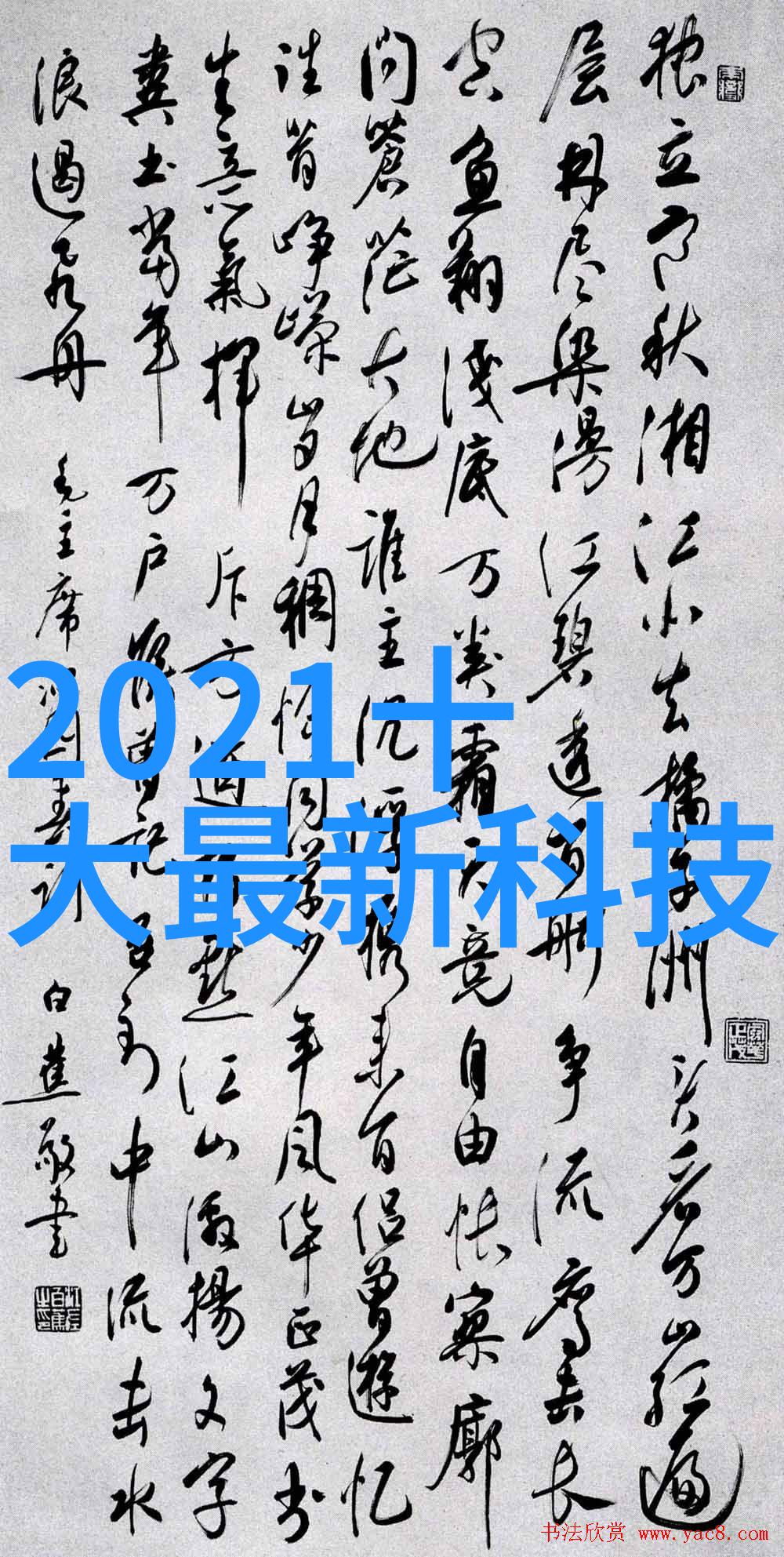 高品质工业不锈钢管生产厂家专注制造耐腐蚀的管材解决方案