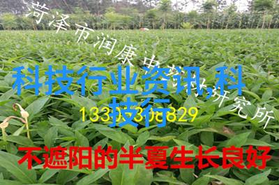 物化之道干燥器的奇迹工艺