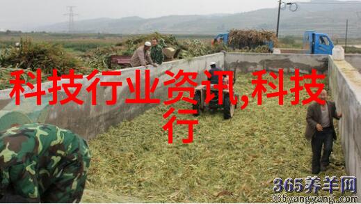尝鲜草莓亲密的夏日邂逅