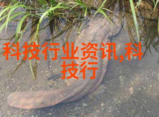 电子垃圾变废为宝探索回收旧设备二手大全的奇妙世界
