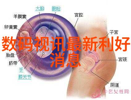 药器之星东富龙的制药传奇