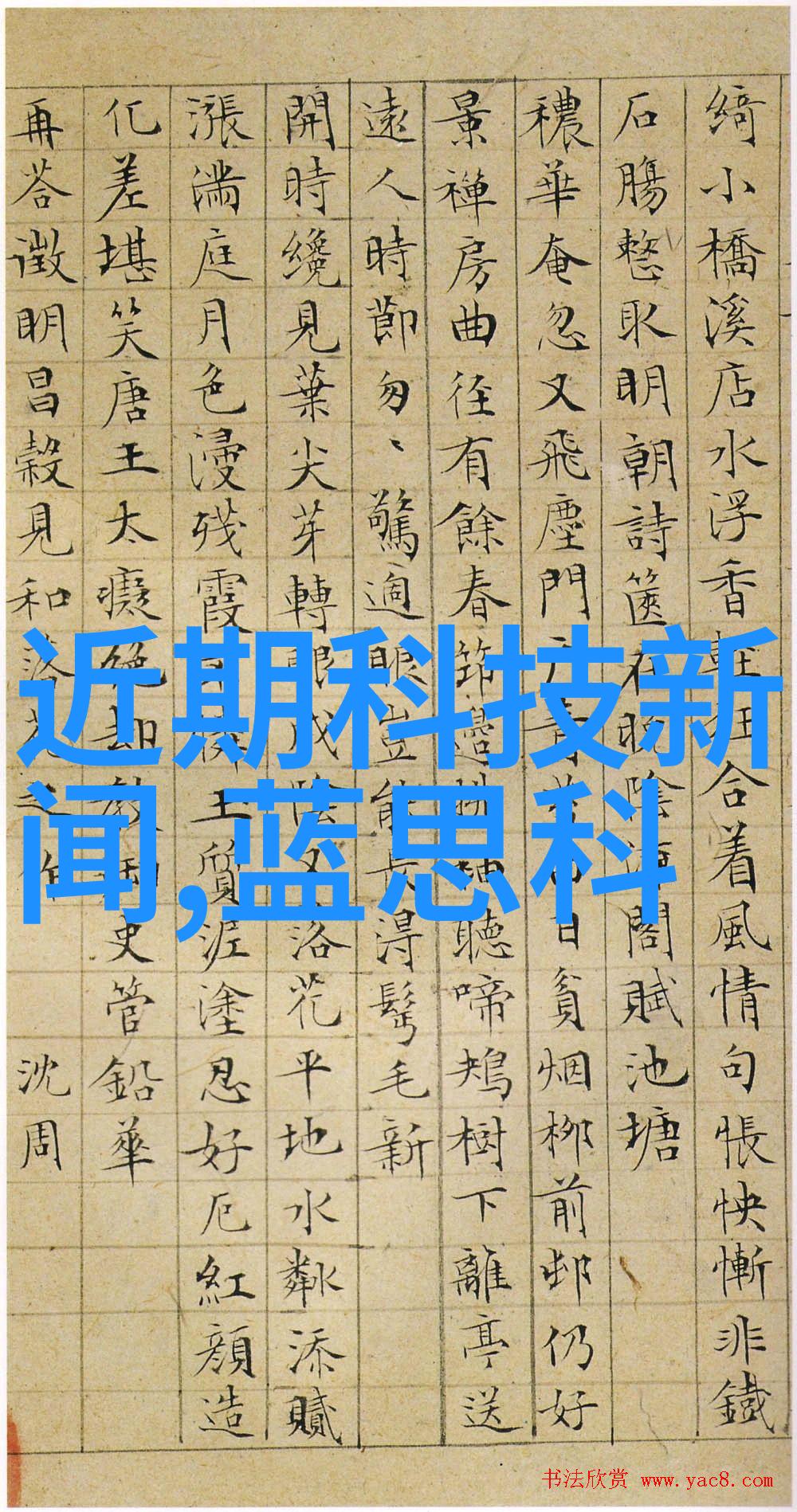 药品直接包装机械精准打包确保药物安全与效用