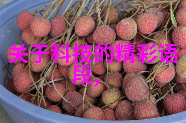 古典韵味的家居装修设计艺术探索