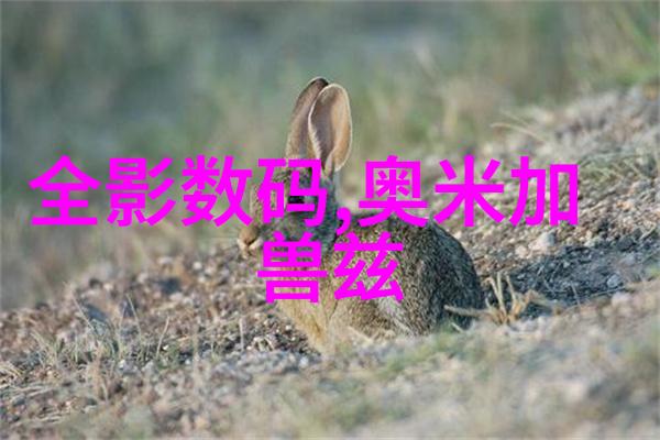 液力传动的灵魂理解与应用中的关键角色