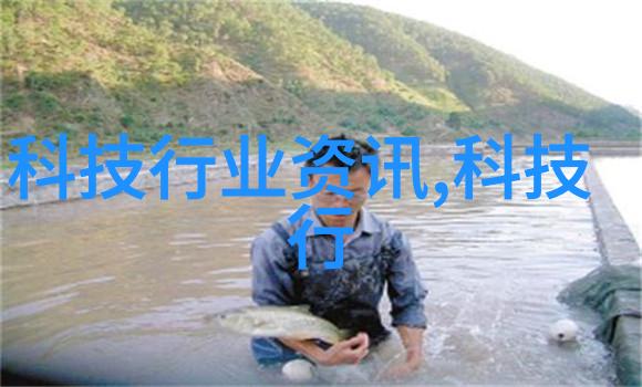 揭秘规费收取费用标准计费方法与如何合理支付