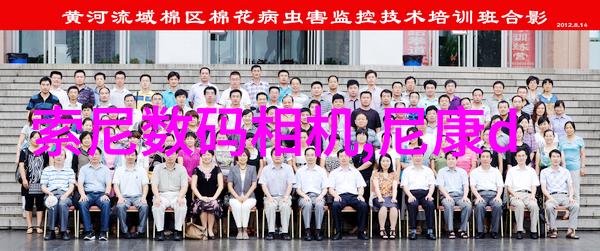 固体药品检测技术的进展与挑战