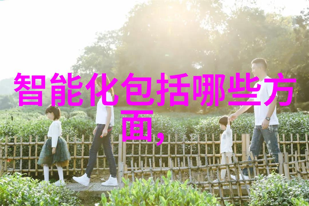 对对于视力敏感用户小米13的调光功能是否有特殊设置选项
