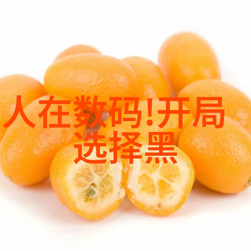 丸剂机械生产线高效自动化药物制成设备