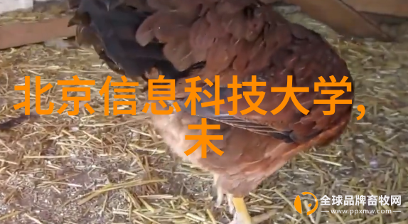 垃圾处理革命油水分离器如何塑造环保未来的新篇章