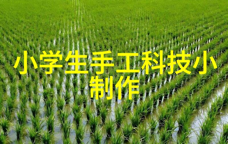 养殖场专用高压喷雾消毒机-清新环境健康羽翼养殖场的高效防疫利器
