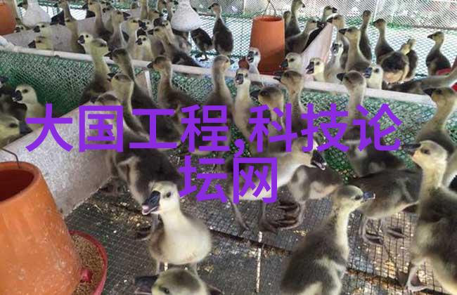电鳗科技太空探索人类迈向星际旅行的第一步
