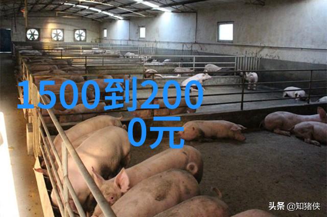 主题我来看看这些消毒设备图片吧