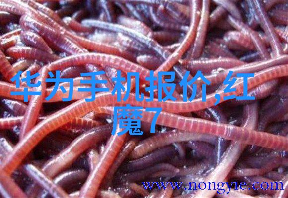 环境评估与预备工作的重要性