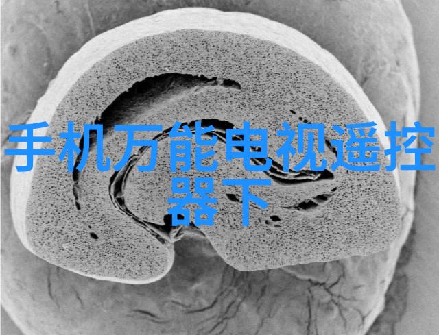 生物安全柜高级微生物实验操作装置