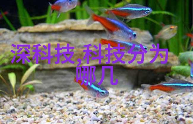 智能测评评估八大关键指标解析