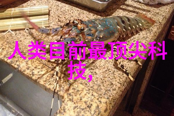 如何评价aspen波纹丝网填料在水处理中的性能