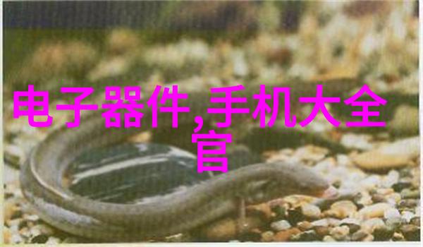 奇幻文学-月圆人不圆逆袭之谜