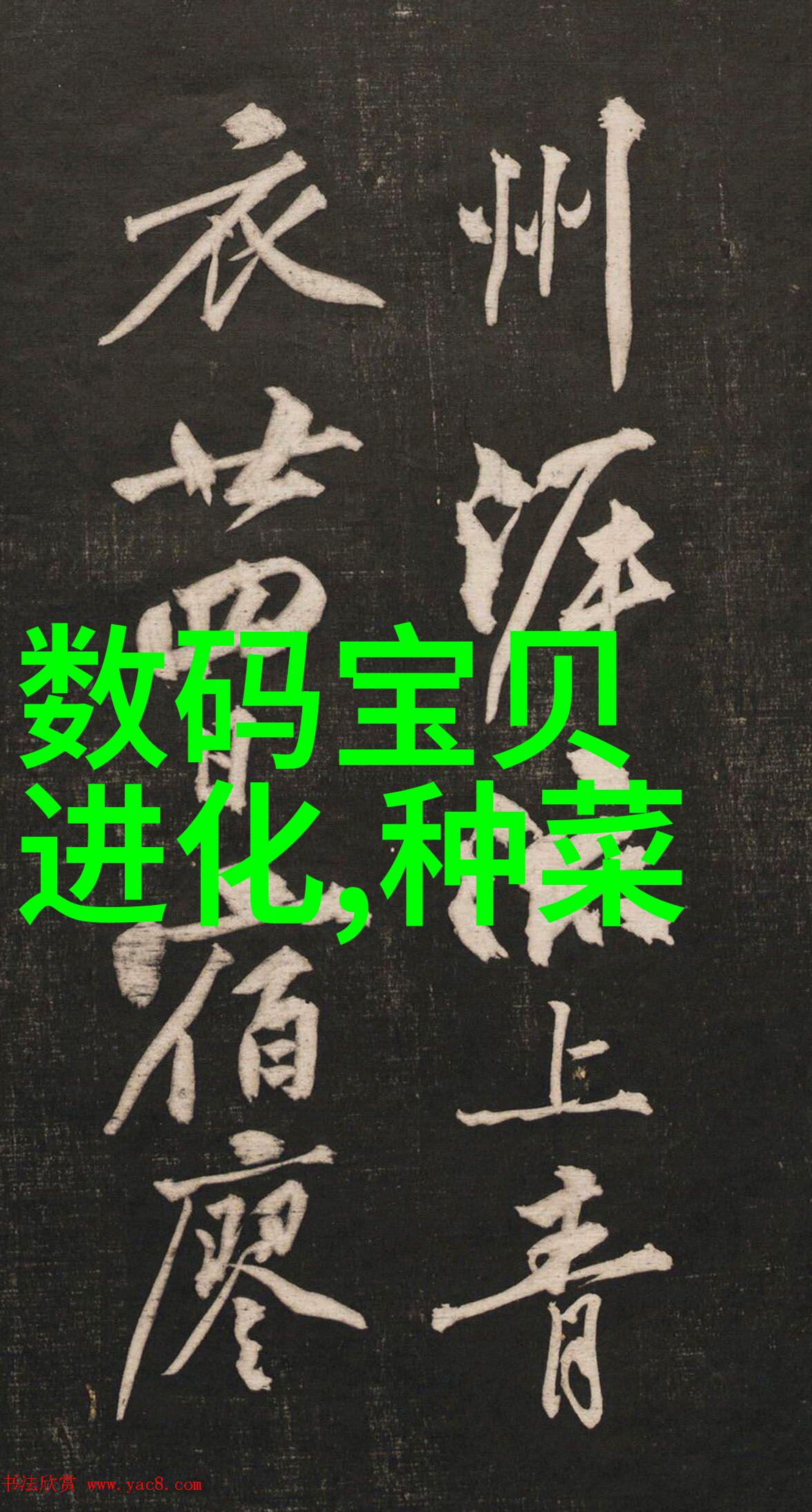 不锈钢架子耐腐蚀的多功能家用工业架子