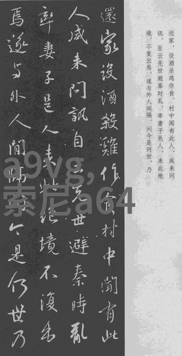 900的波纹管价格表我来给你详细看