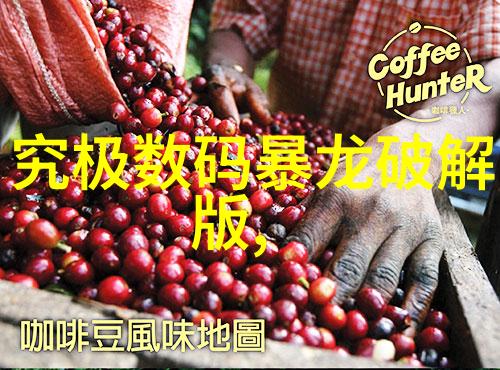 春日暖阳下的遐想