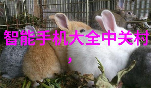 卫生间防水涂料选择与应用技巧