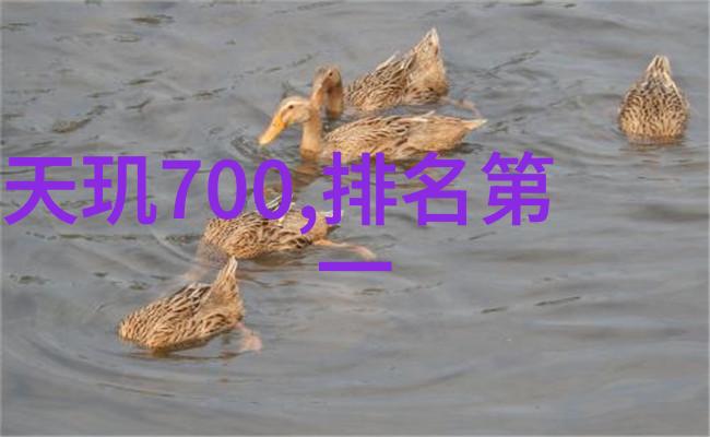 空调房的秘密一幅简约装修效果图背后的谜团