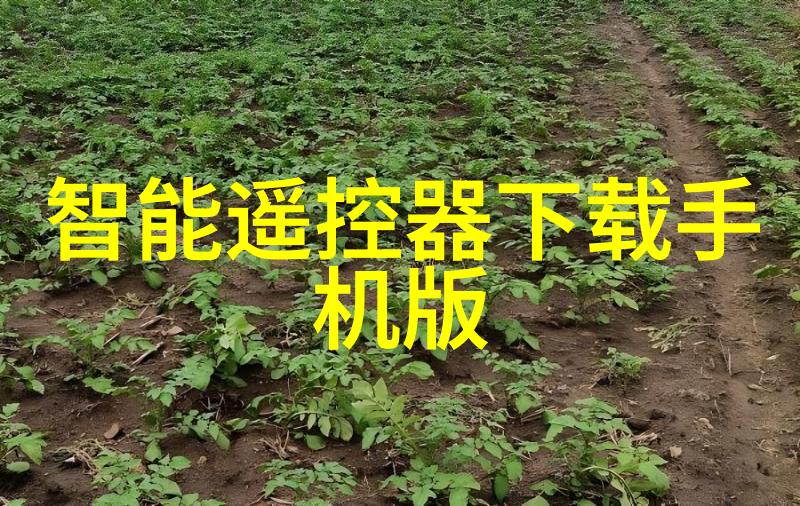 牙尖刺骨探索口腔医院的反差装修艺术