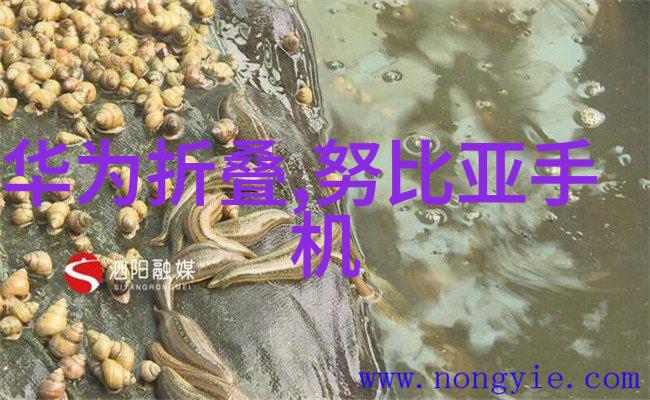 科学研究的精髓实验室成套设备的重要性与应用