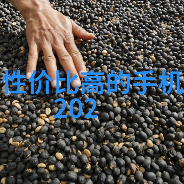 汽配城轮廓中的传奇