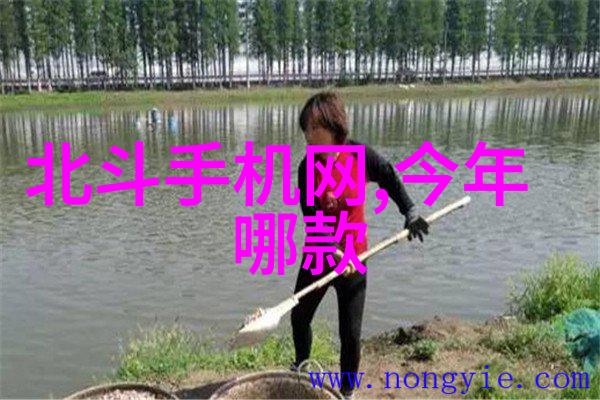 人造石-光影中的艺术人造石的魅力与应用