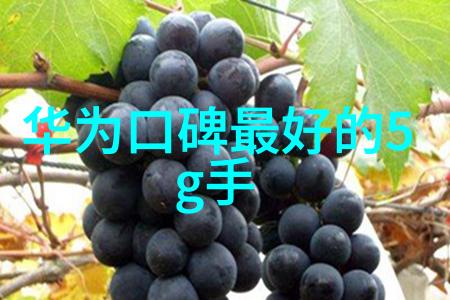 探究现代建筑工程中的PE管材应用材料性能成本效益与环境可持续性分析