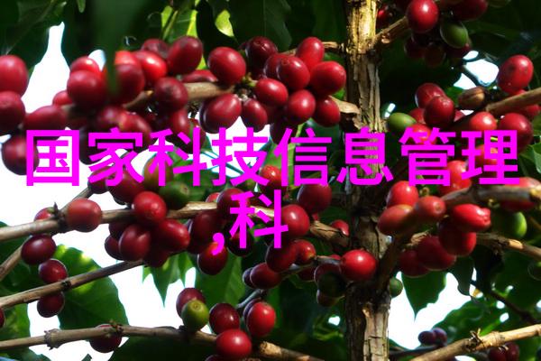 化工颗粒剂机械粉末之舞与精细的控制艺术