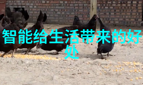 HDPE双壁波纹管的应用与优势探究
