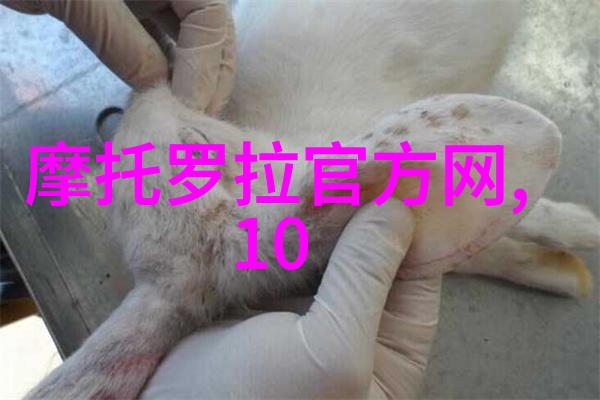 消声器在军事中的应用及其重要性