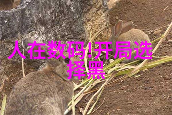厦门哪些实验室设备最受欢迎